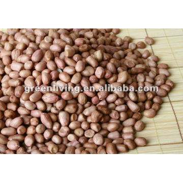 (nuts&kernels) china peanut kernel direct supplier (60/70)